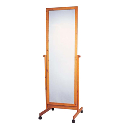 #WCM-WA - Mirrors